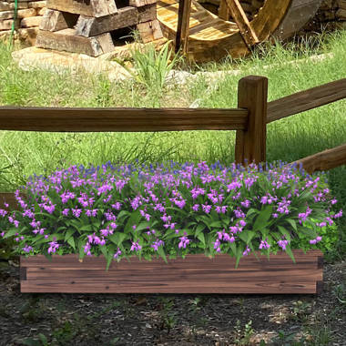 Arlmont & Co. Wood Outdoor Raised Garden Bed | Wayfair